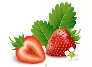 草莓视频吃瓜视频下载,下载盛宴，揭秘热门短视频平台魅力