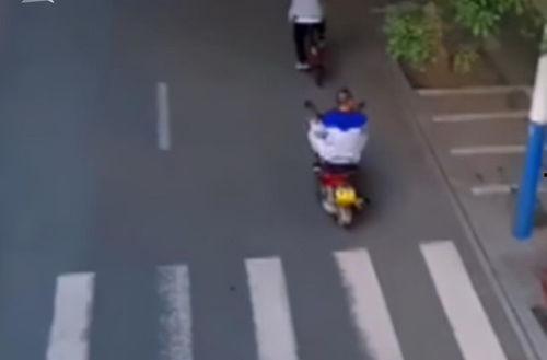 吃瓜小偷视频,一场意外引发的搞笑风波