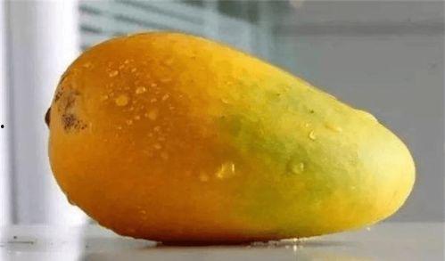 带你吃大瓜豹纹芒果视频,带你揭秘网红美食背后的故事