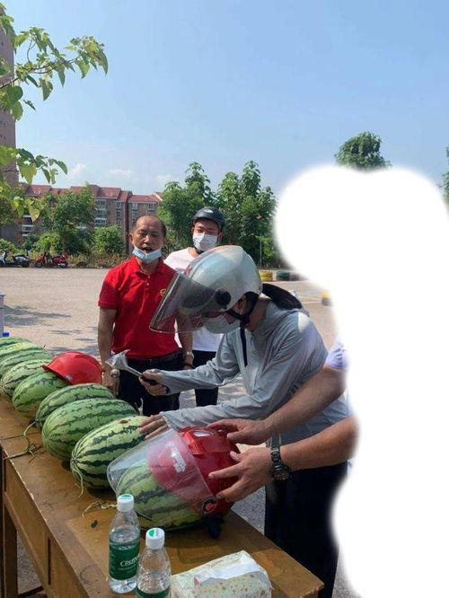 宁陵吃瓜事件视频,一场网络舆论的风暴与反思