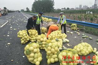 群众一路吃瓜视频素材,揭秘群众视角下的社会百态