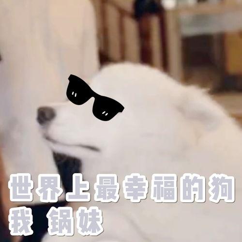 麻瓜如何泡着吃视频教学,跟着视频学泡着吃美食攻略