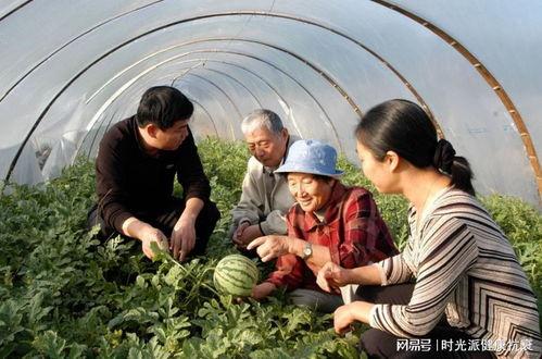 海门老太吃瓜事件视频曝光
