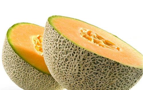 小狗吃哈密瓜配乐视频,小狗欢乐吃哈密瓜