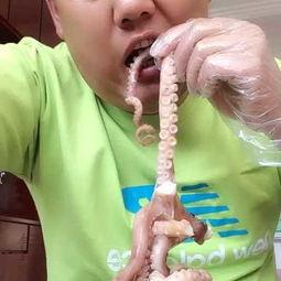 瓜哥吃八爪鱼视频播放,八爪鱼美食盛宴现场直播