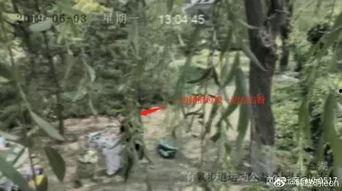 被网红扒吃瓜视频大全,揭秘娱乐圈幕后故事