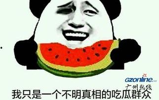 普通人吃瓜群众视频,普通人如何通过视频洞察社会热点